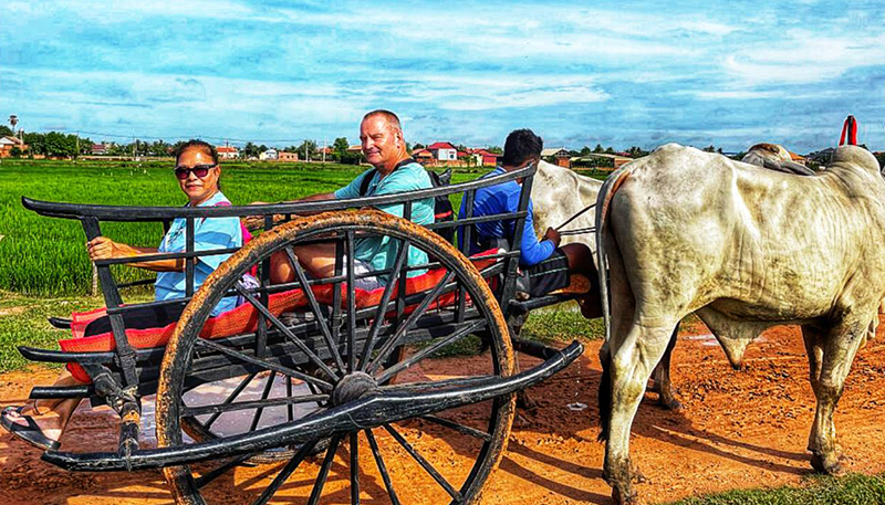 Oxcart Adventure Tours
